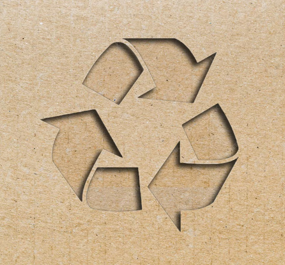 Sostenibilità e Innovazione nei Processi Produttivi Dryce